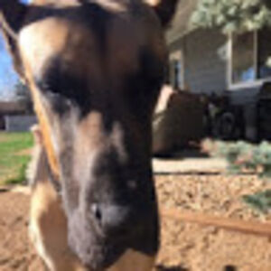 mackaylacrowder avatar