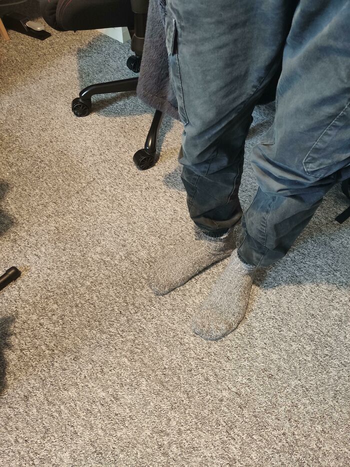 My Partner Got A Pair Of Socks That Almost Perfectly Match Our Carpet Flooring