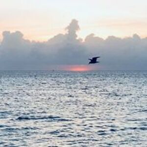 pittsburghgirltoo avatar