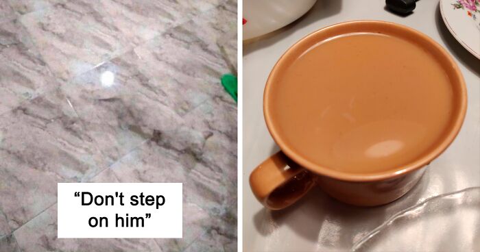 In This Online Group, People Share Accidental Camouflage And Here Are 50 Of The Best Photos