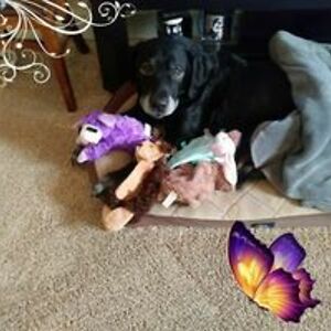 annamarielehrticer avatar