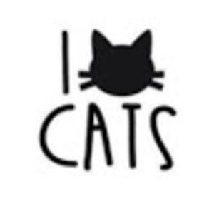 katherinedado avatar