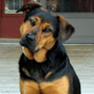 skylarmitchell avatar