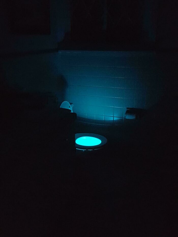 I Told My Dad That Buying An LED For Our Toilet Was Dumb. I Was Wrong