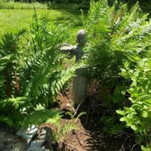 puffin_cramer avatar