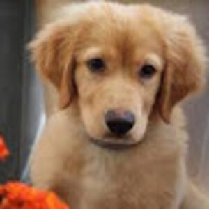 lilliewinesburg avatar