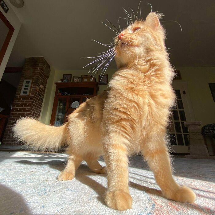 Told Layla To Strike A Pose And, Well, She Nailed It