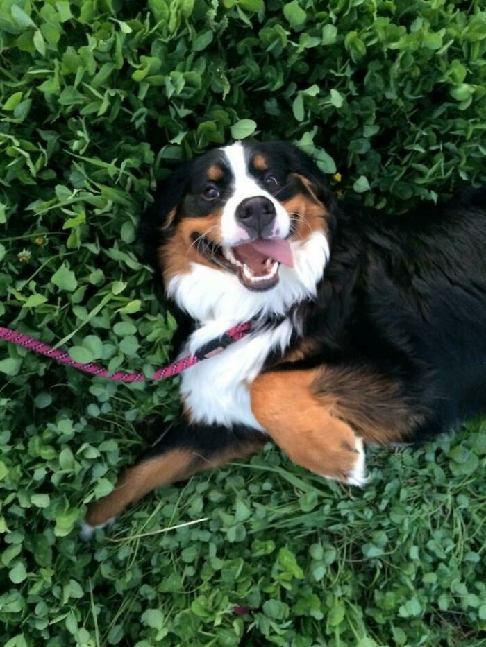 This Is Regina George, And She Is Flawless