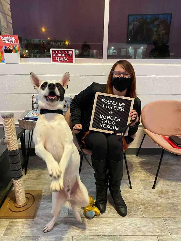 It Was Love At First Derp