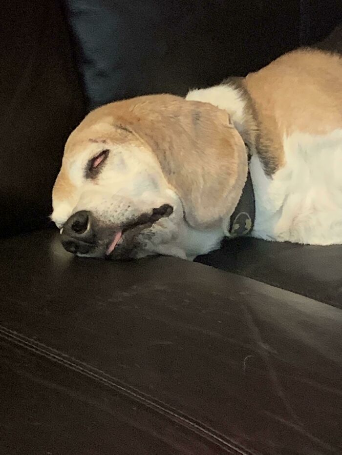 I Knew He Wasn’t Dead Because He Was Snoring Louder Than A Chainsaw