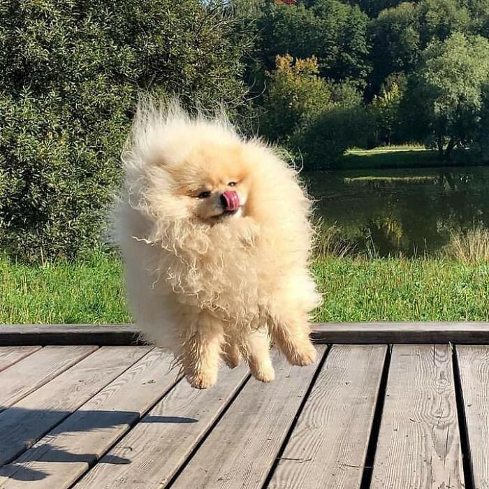 I Said Jump Shot, She Said I Jump, I Lick