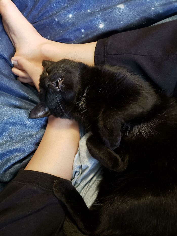 He Fell Fast Asleep Just Like This