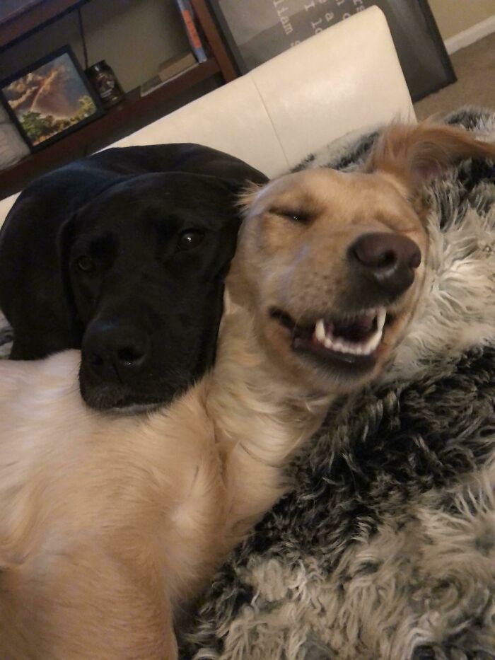 This Is My Life...not Mad