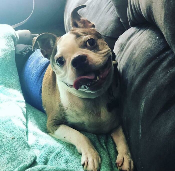 Hi! This Is Walt. Long Time Lurker, First Time Derper