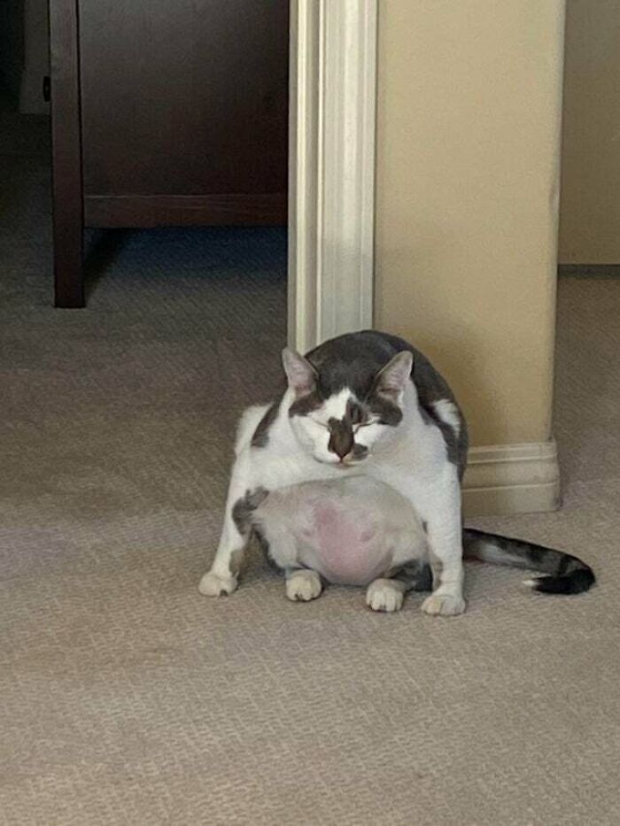 I Looked Over And He Was Asleep Like This