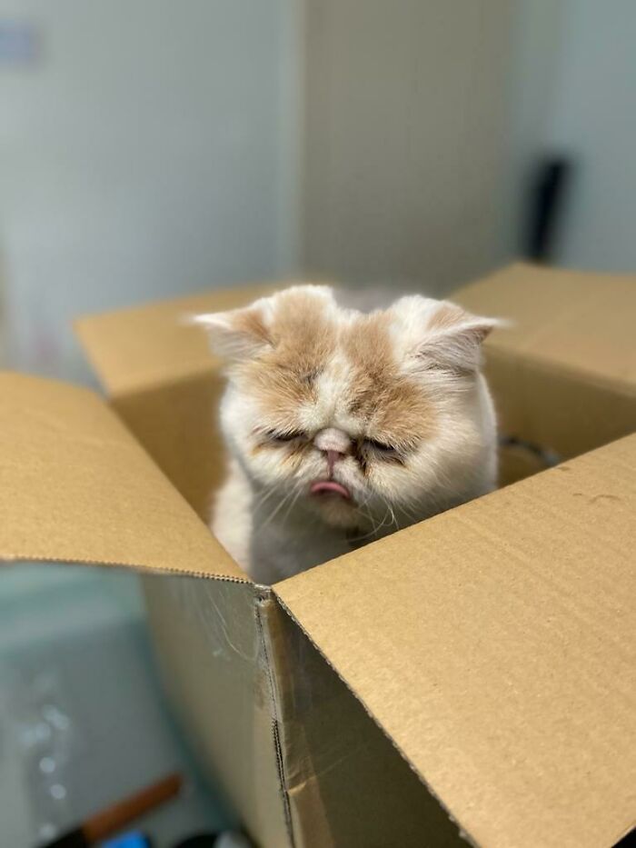 She’s Satisfied With This Box.