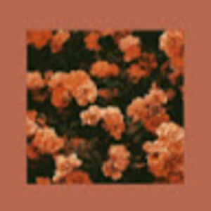 charleehayden avatar