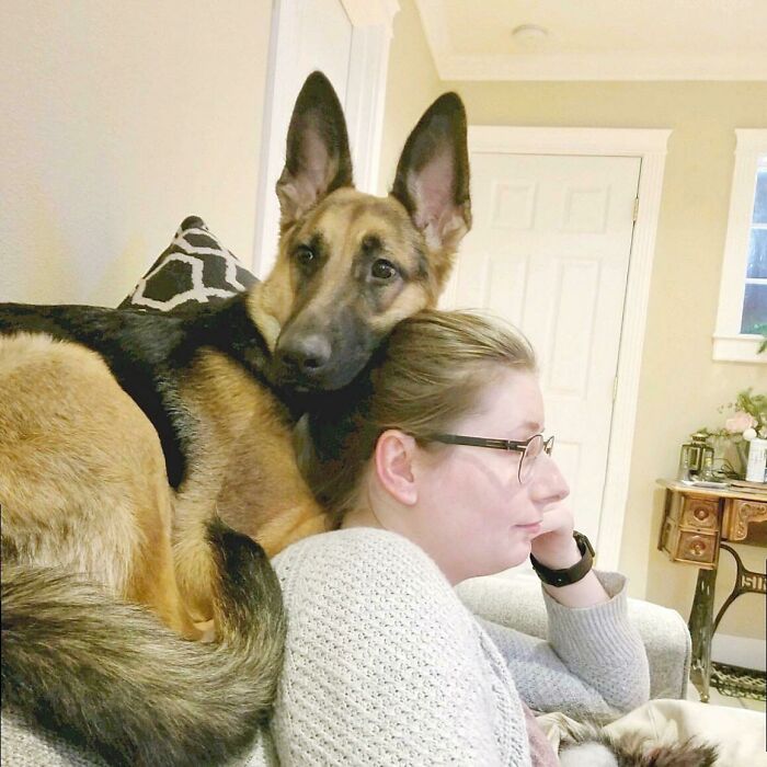 She Thinks She Is A Cat Sometimes