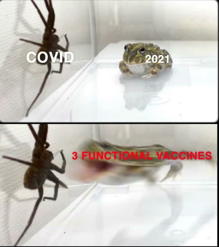 One-Year-Coronavirus-Anniversary-Jokes