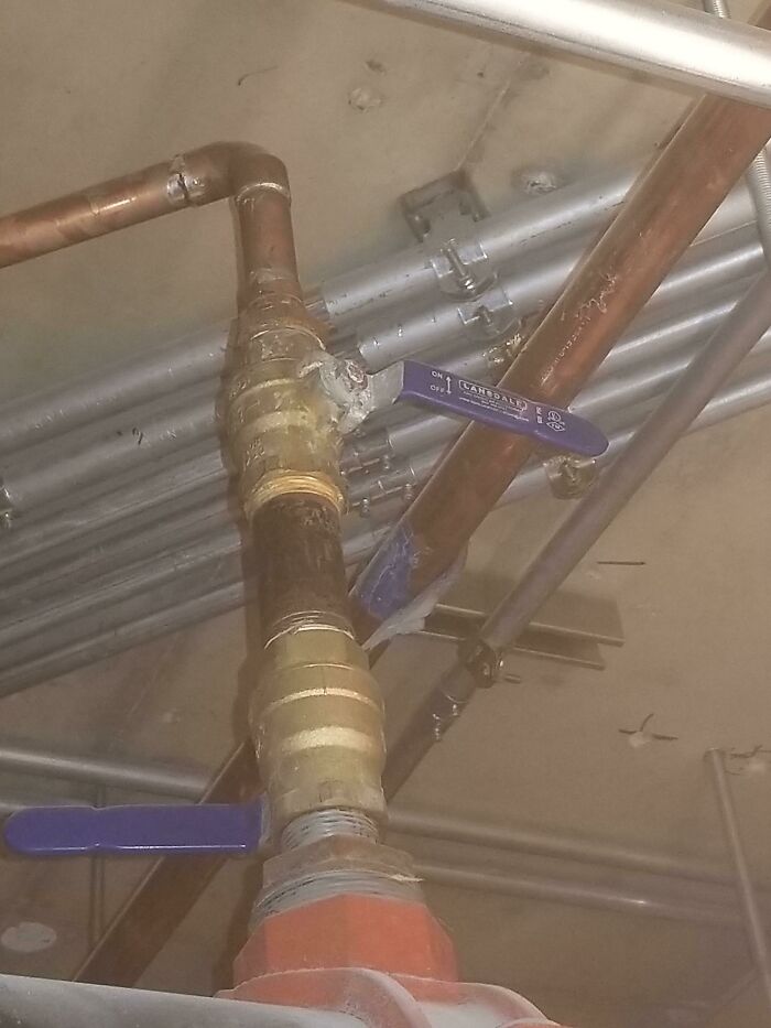 My Coworkers Are Brilliant People