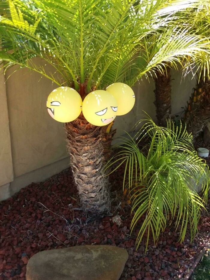 My Neighbors Decorated Their Plant To Look Like Exeggutor