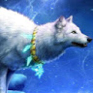 wolves4life avatar