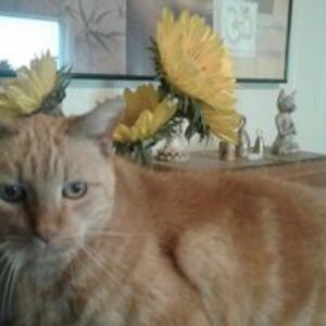 grace_holaday avatar