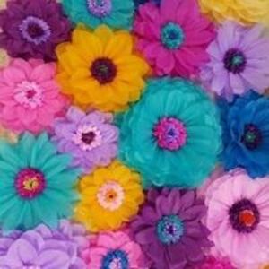 sandy_sovie2837 avatar