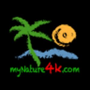 mynature4k avatar