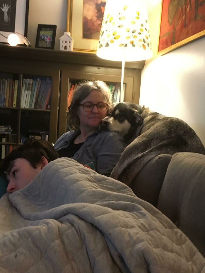 My Dog Might Be Learning Some Things From My Cat