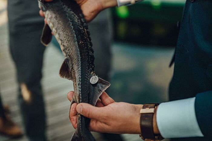 Found In A Wedding Group On Facebook. Name Send-Off By Tagging A Live Fish. Wait What?!