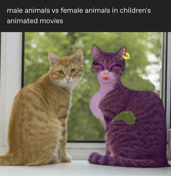 Found This Gem On Tumblr