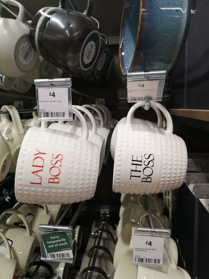 Ahhh The Two Genders, Lady And The