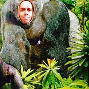 zoltanballa10 avatar