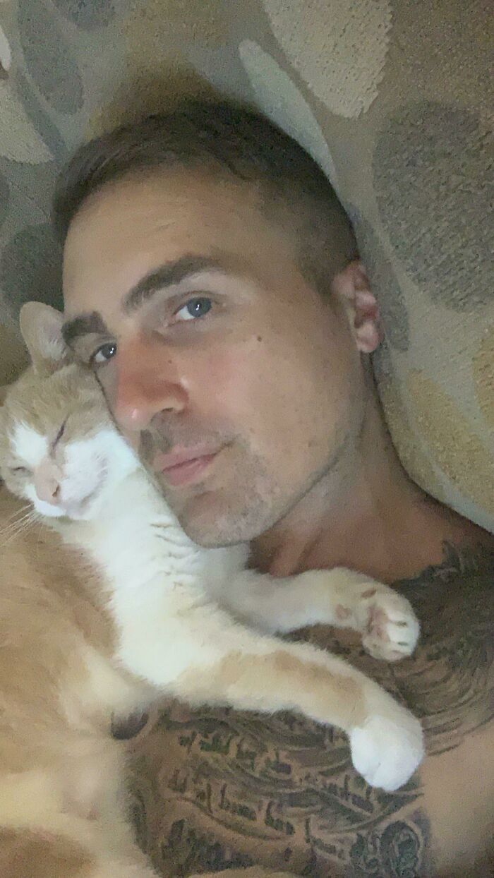 14 Years Old And He Has Finally Found His Forever Home. Adopting A Senior Cat Is The Best Thing I Have Done.