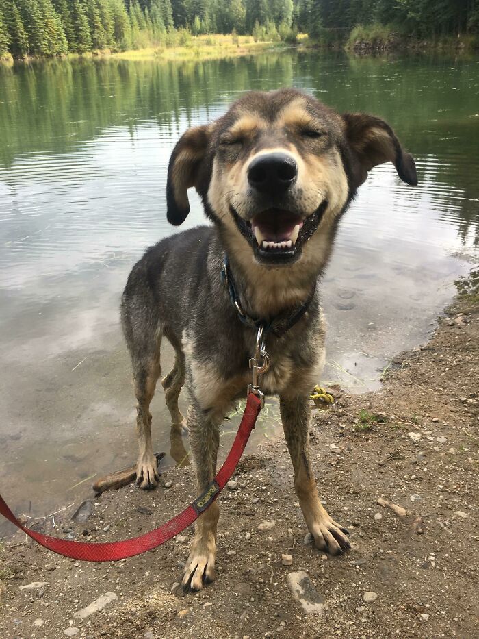 Just Got Word We’ll Be Able To Officially Adopt This Angel In April!