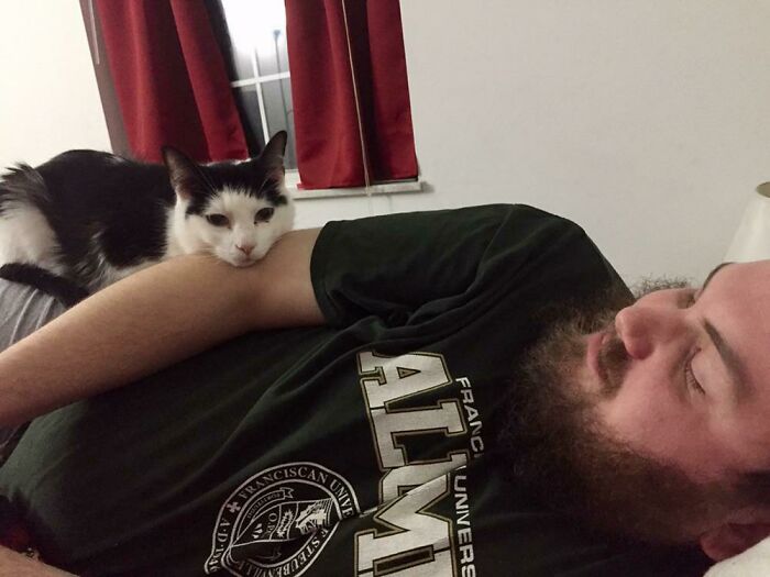 My Husband: “No! We Don’t Need A Cat! They’re So Much Effort And We Already Have A Dog.” My Husband One Week After Rescuing Sava: