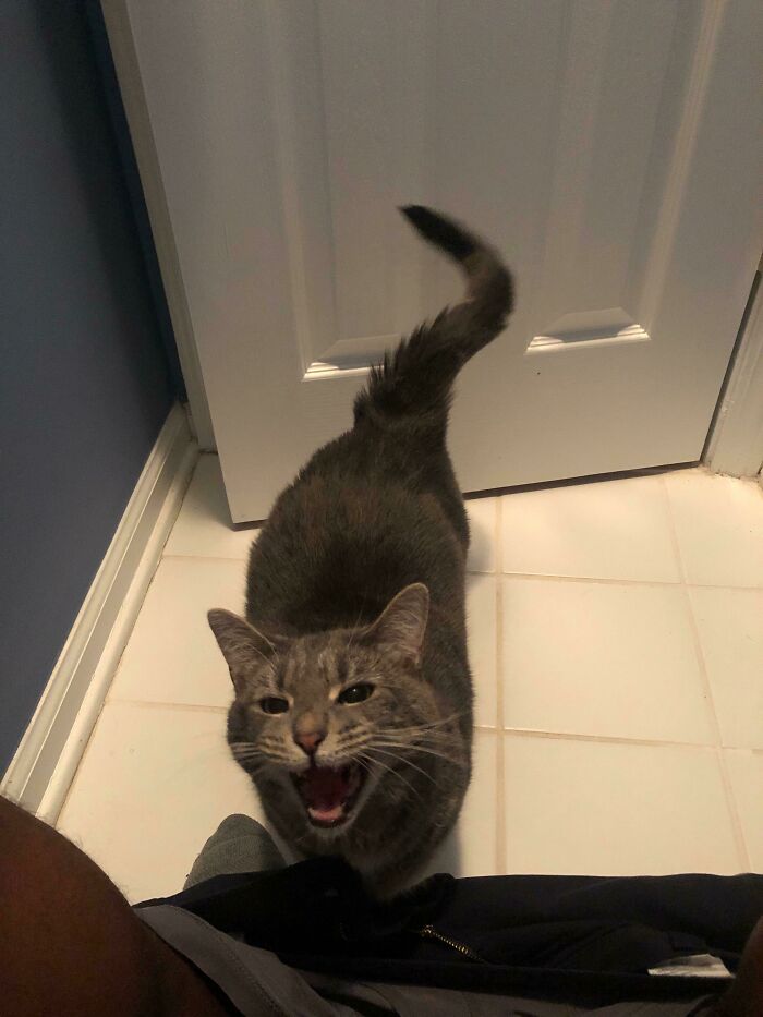 Just Tryin To Use The Bathroom In Peace!!!