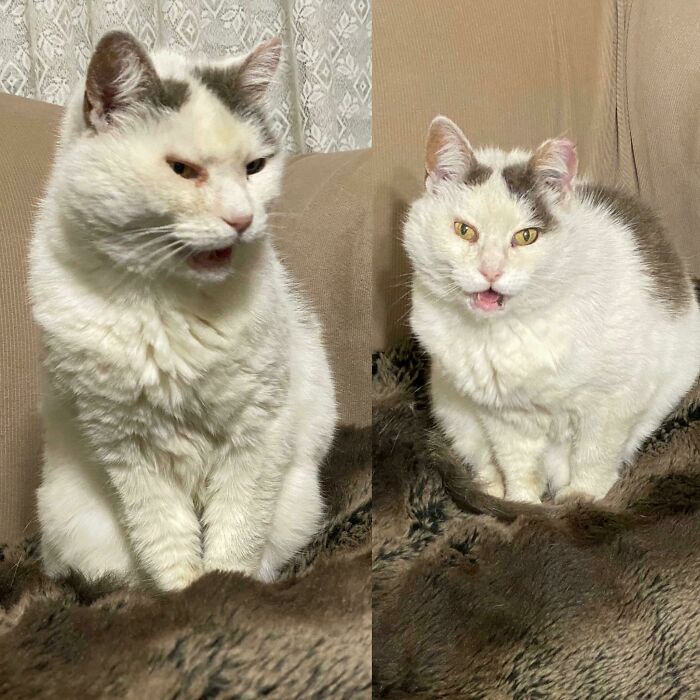 I Can Hear Her Even In A Photo