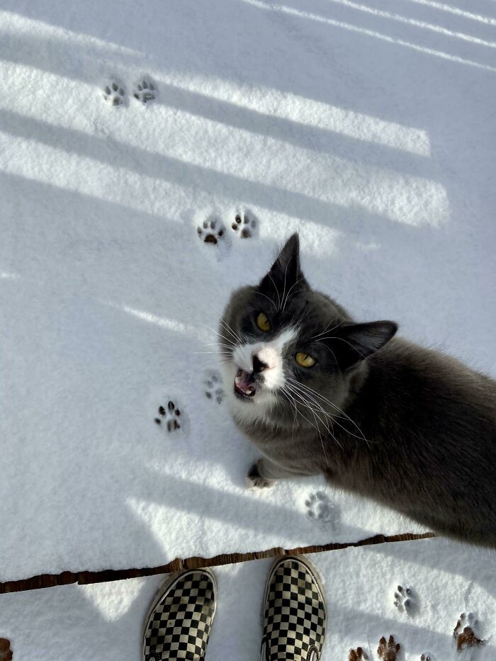 Mochi’s First Snow!