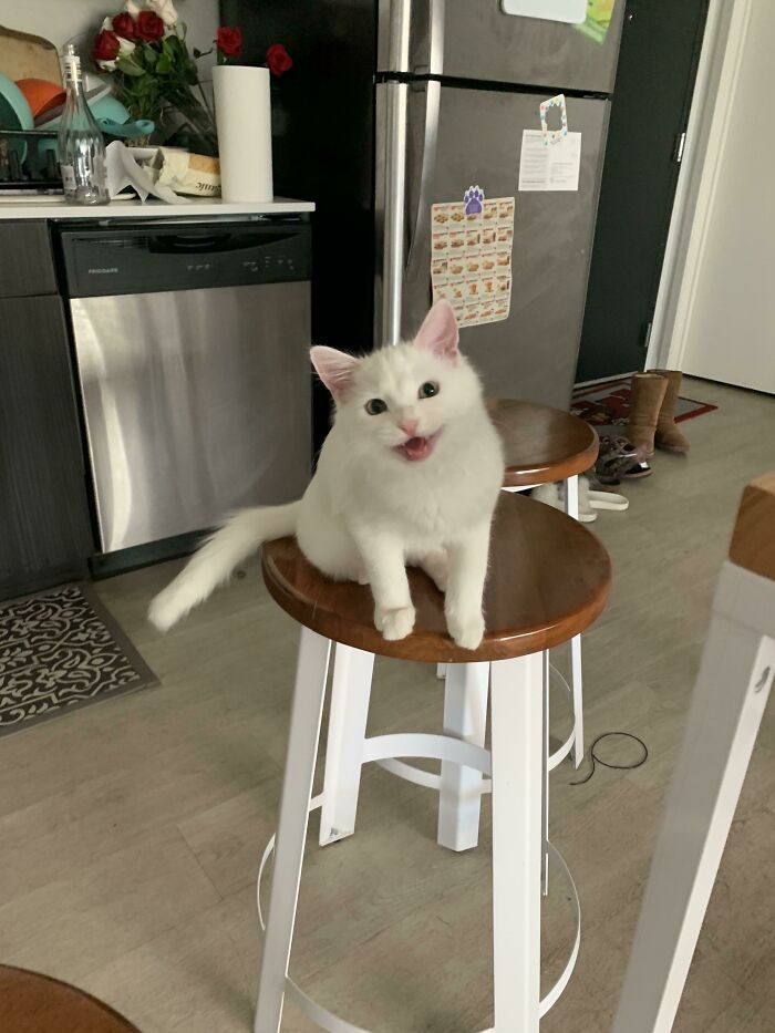 What Do You Mean You Had To “Work”?!