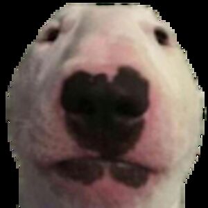 _trenton_dayley avatar