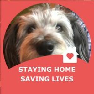 villafelicitat avatar