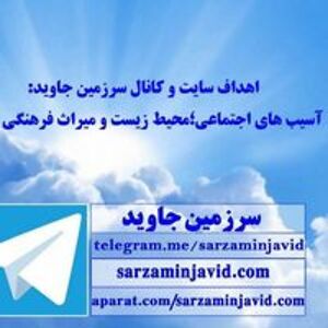 amir_sharbati avatar