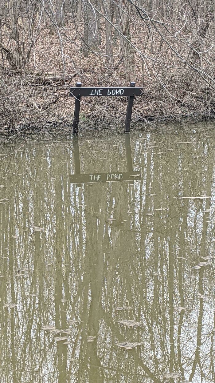 This Sign At A Local Nature Preserve Has The Words Inverted So You Can Read It In The Water