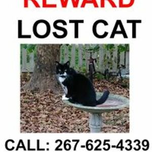 samantha_paws avatar