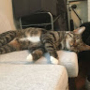 meghanmariefowler-finn avatar