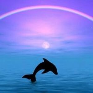 suresh_katara avatar