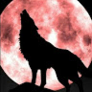 randykilpatrick avatar