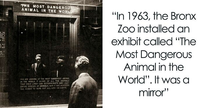 50 Random Facts That Sound Fake But Aren’t, Shared By This Twitter Account